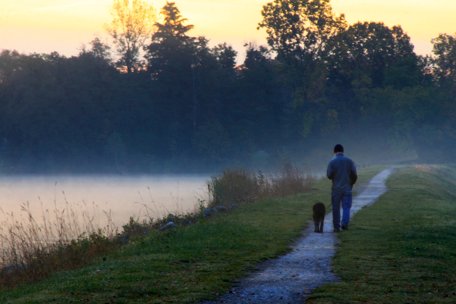 early morning walk with an old dog