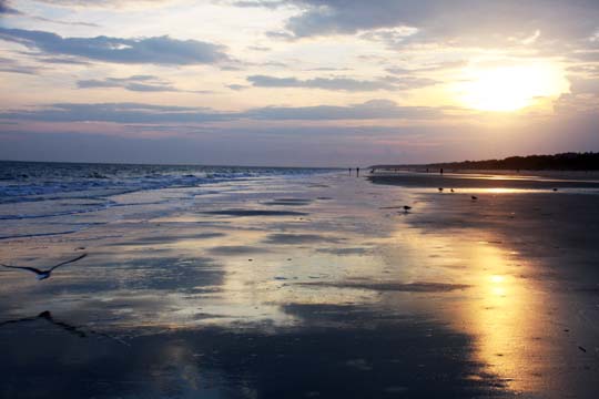 south carolina landscapes