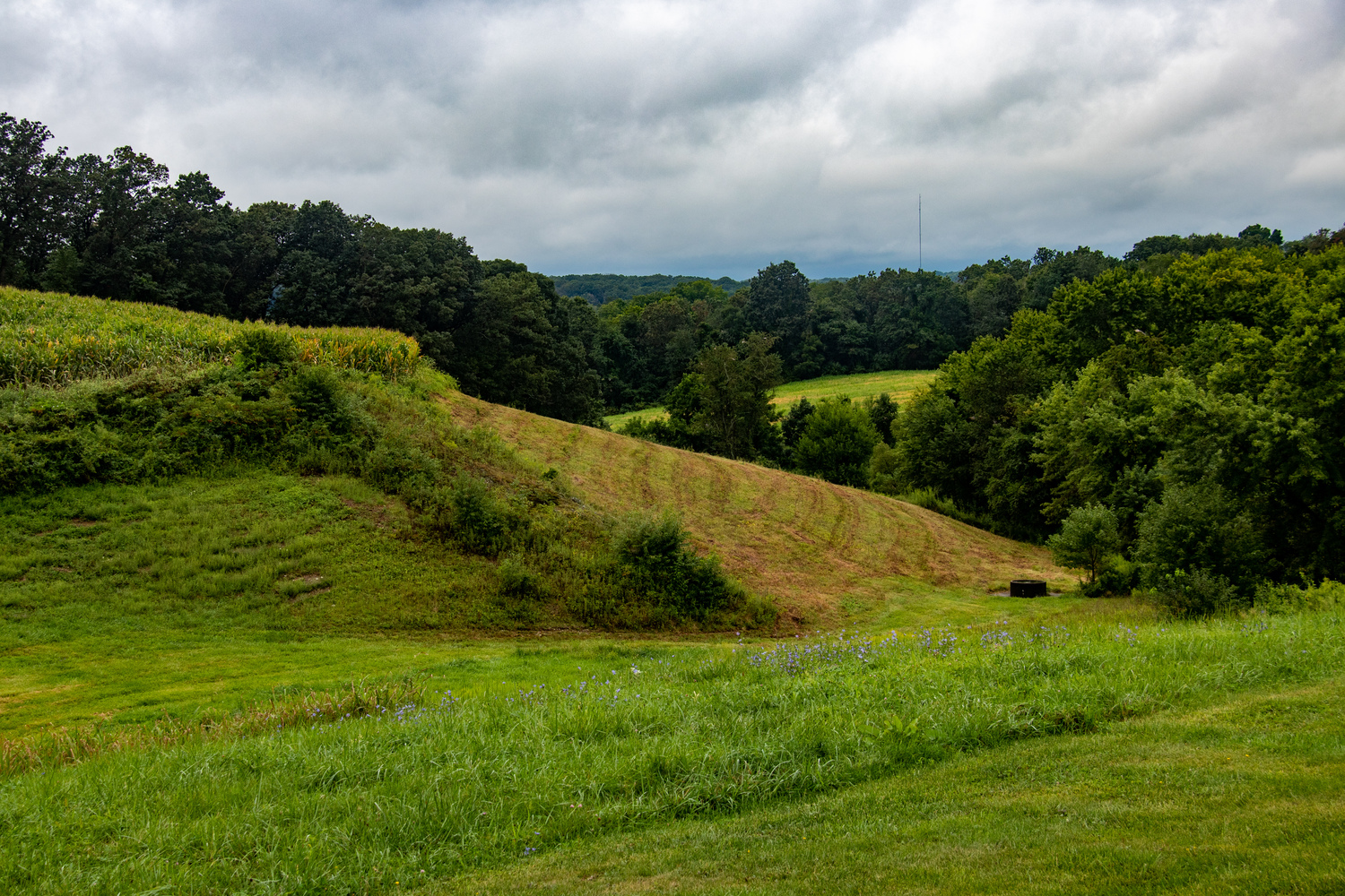 md_hillside
