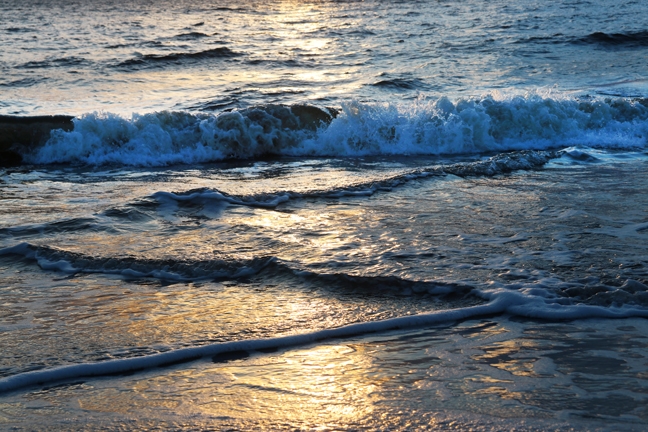 Z Wave_174
