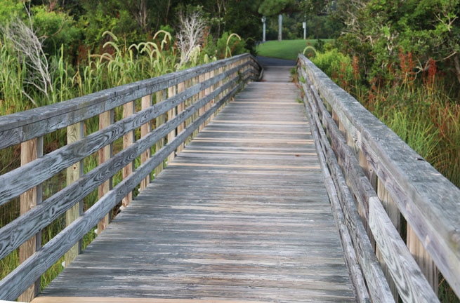 sc_bridge_180