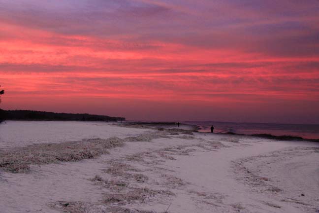 landscape gallery _south