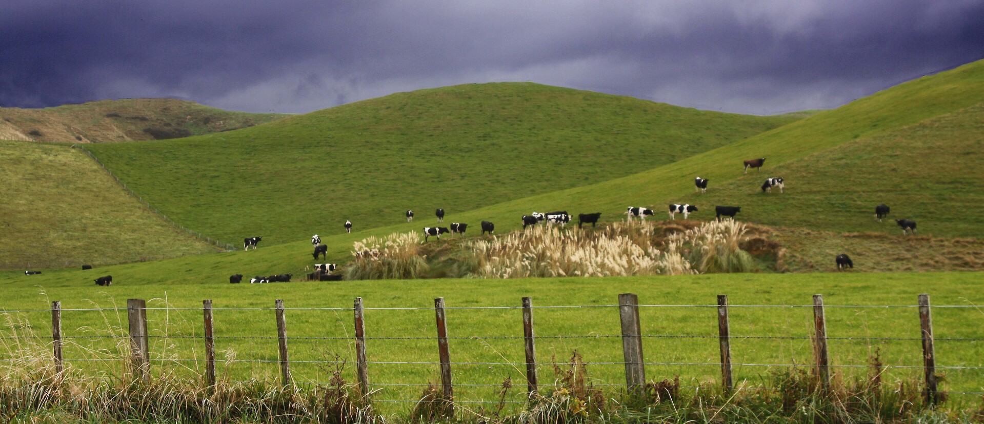 Storm coming on the hillside