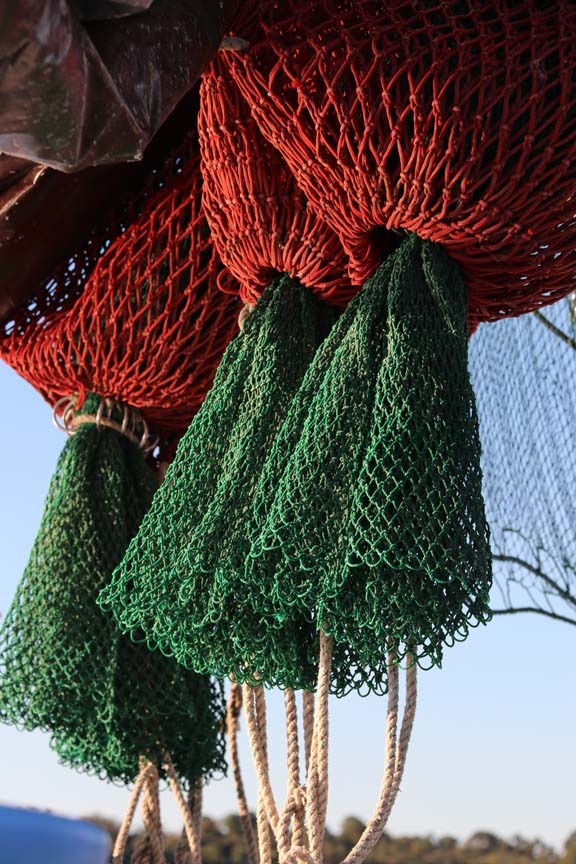shrimp nets_020