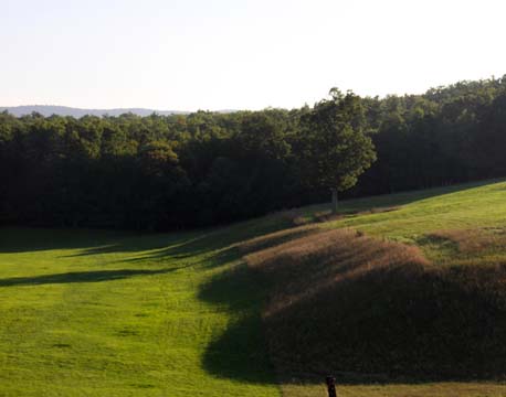 va_Farm Hill_ 140