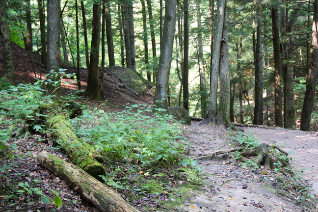oh_ along the path