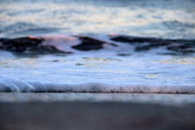 the soft wave