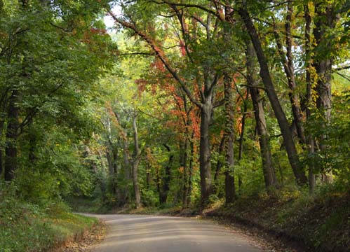Landscape gallery_midwest_Michigan