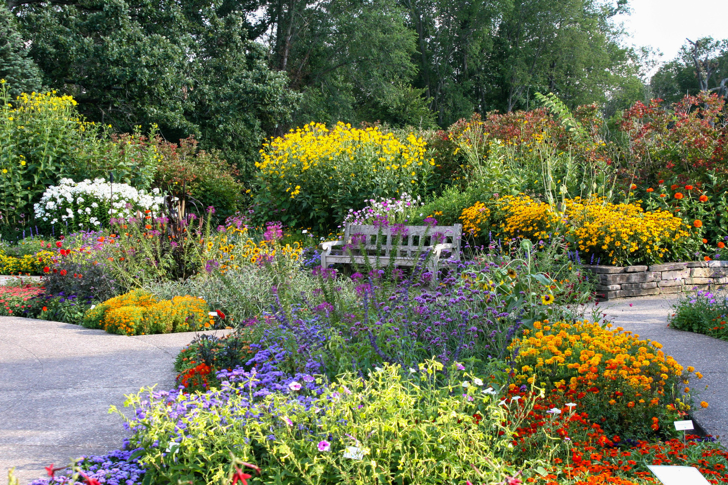 botanical gardens bench