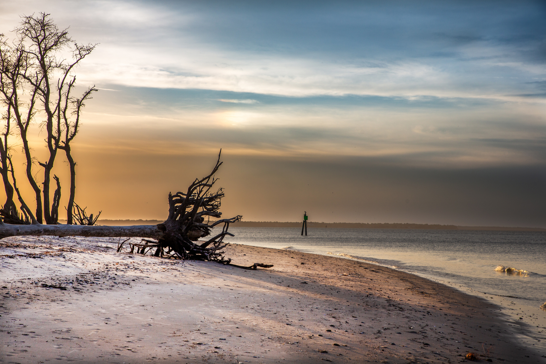 Dolphin Point