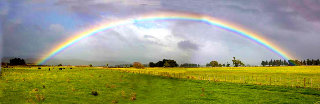 Zeeb Road Rainbow