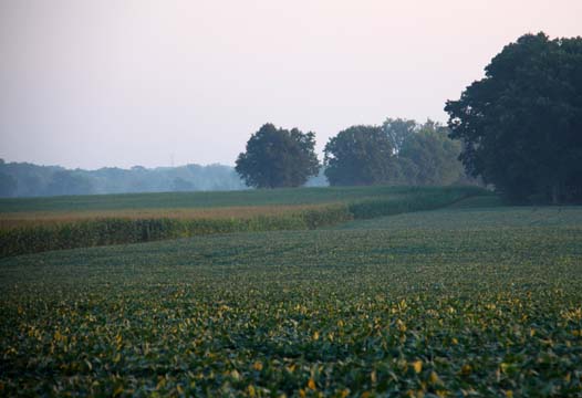 landscape gallery_midwest_oh