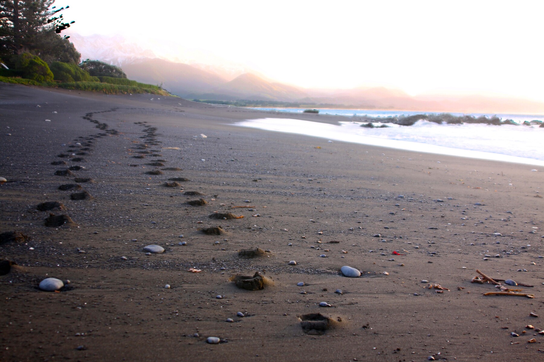 Footprints