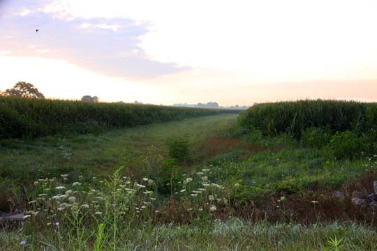 landscape gallery_midwest_oh