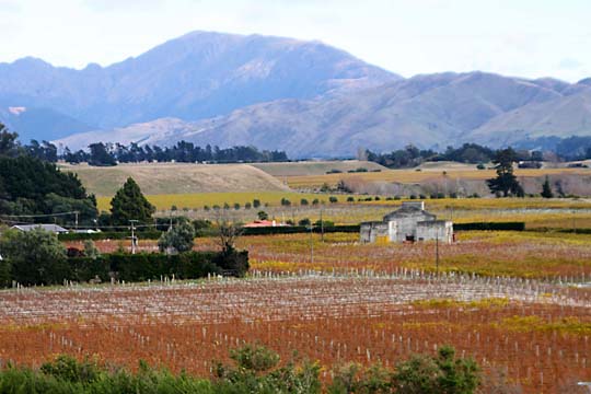 nz_022