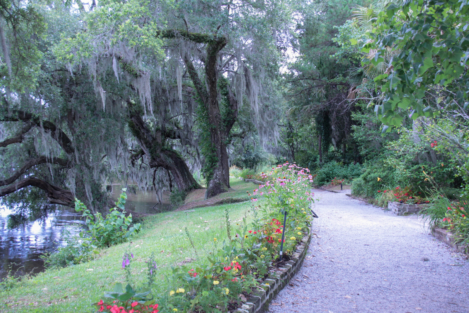 magnolia gardens pathway