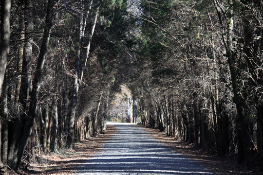 nc_Long Drive_ 021
