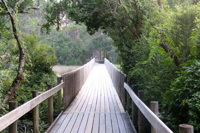 sc_to the beach_209
