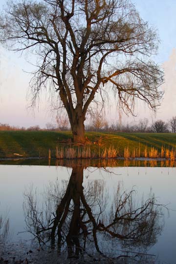 mi_Quiet Reflection_ 011
