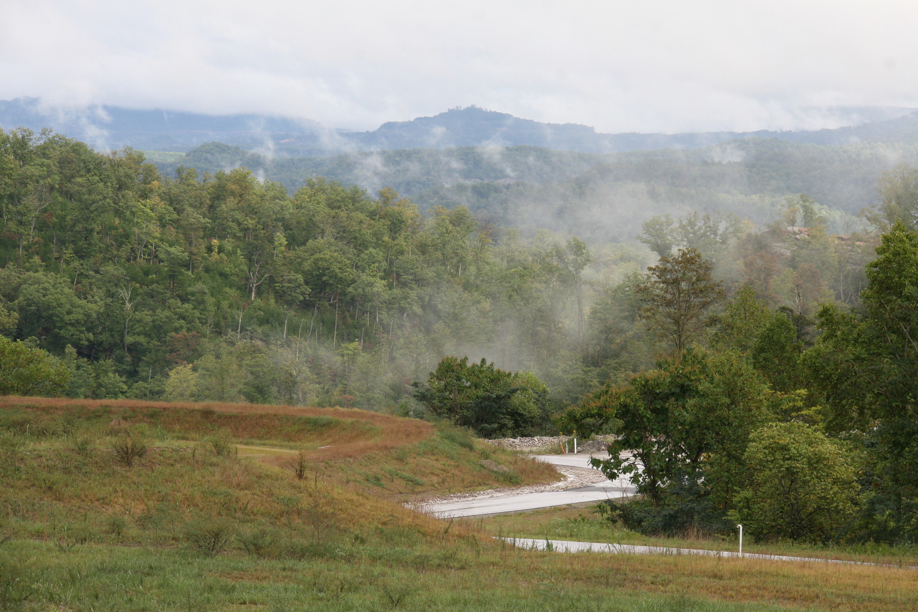 Tennessee mist