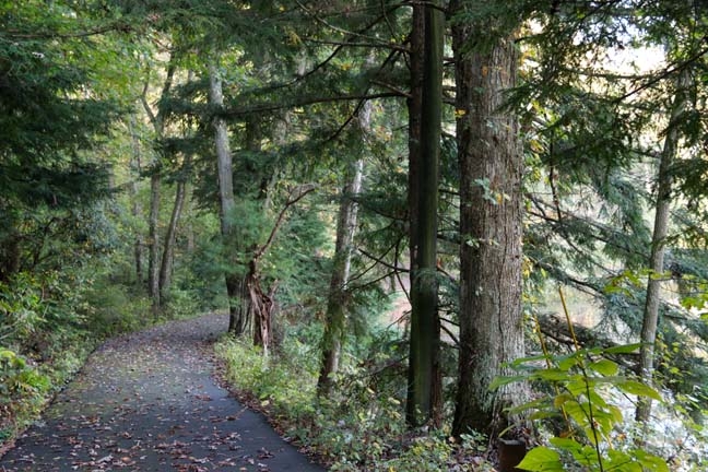 va_pathway_014