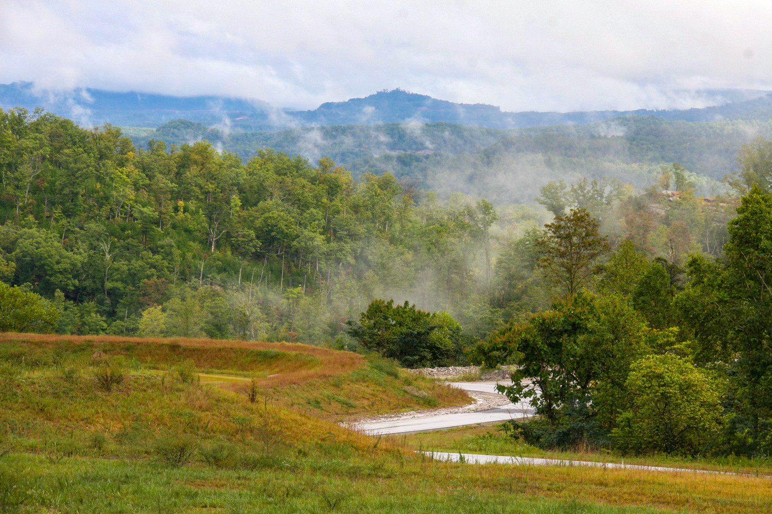misty hillside in Tennessee