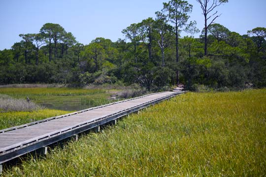 sc_boardwalk_035