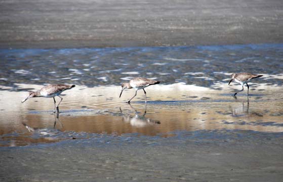 landscape south gallery