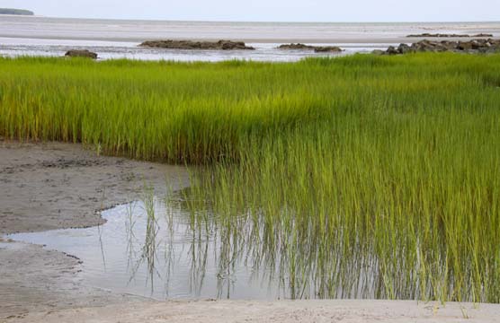 landscape gallery_south