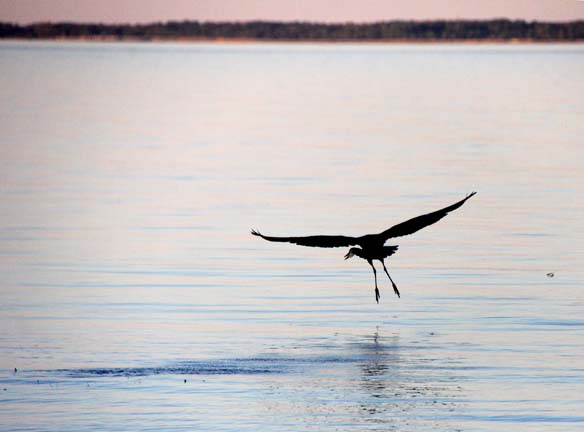 take-off_037