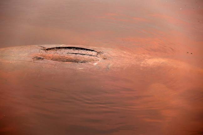 submerging II_010