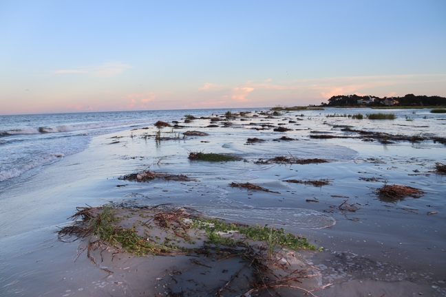 way high tide