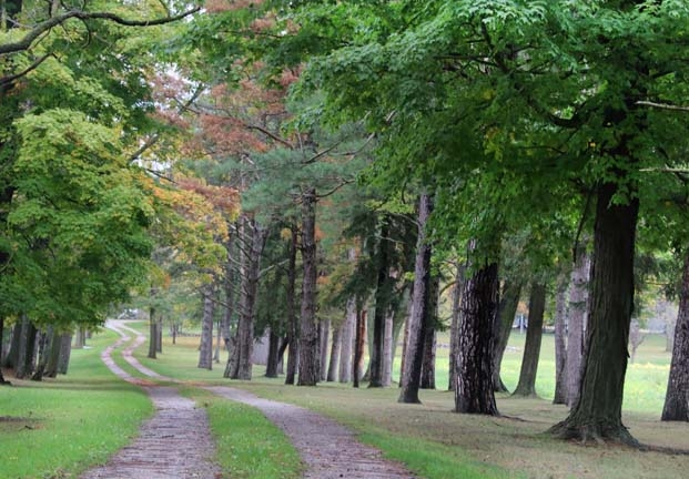 mi_pathway_002