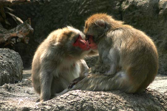 3_mo_I_ love_you