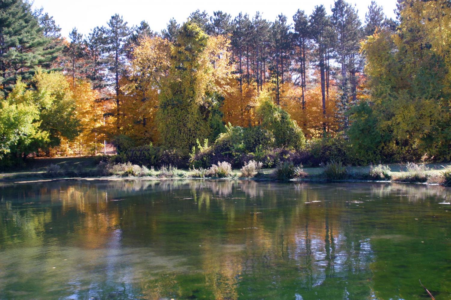 Landscape gallery/Michigan