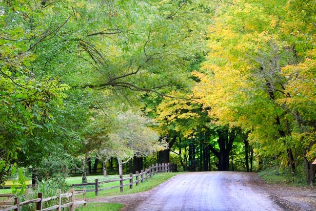 warren road