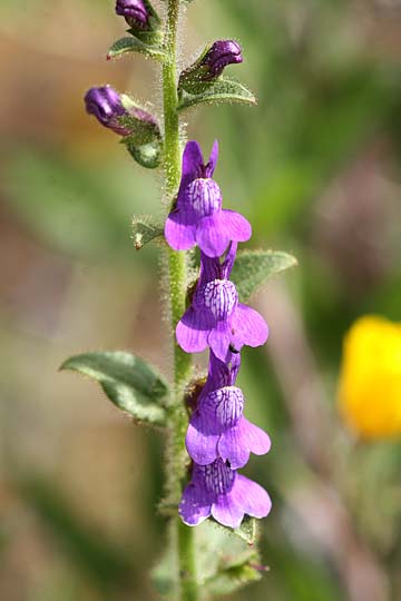 bpu_2274.jpg