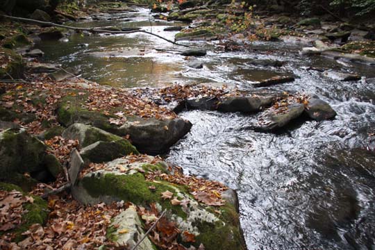 wv_Pax creek_ 131