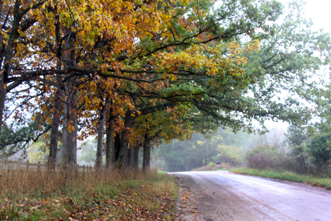 joy road