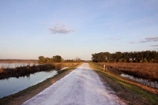 sc_long road 167