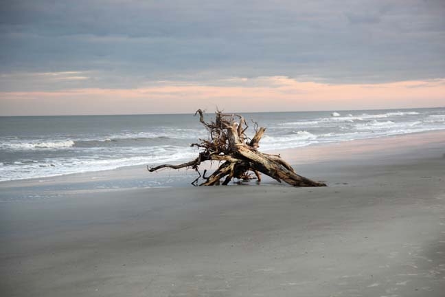 landscape south_sc
