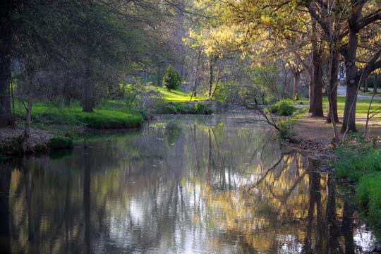 nc_ahh spring_ 005