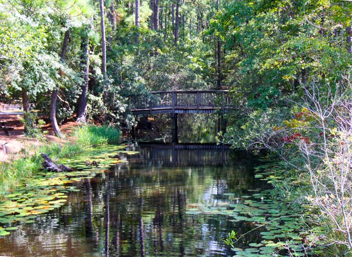 sc_little bridge_