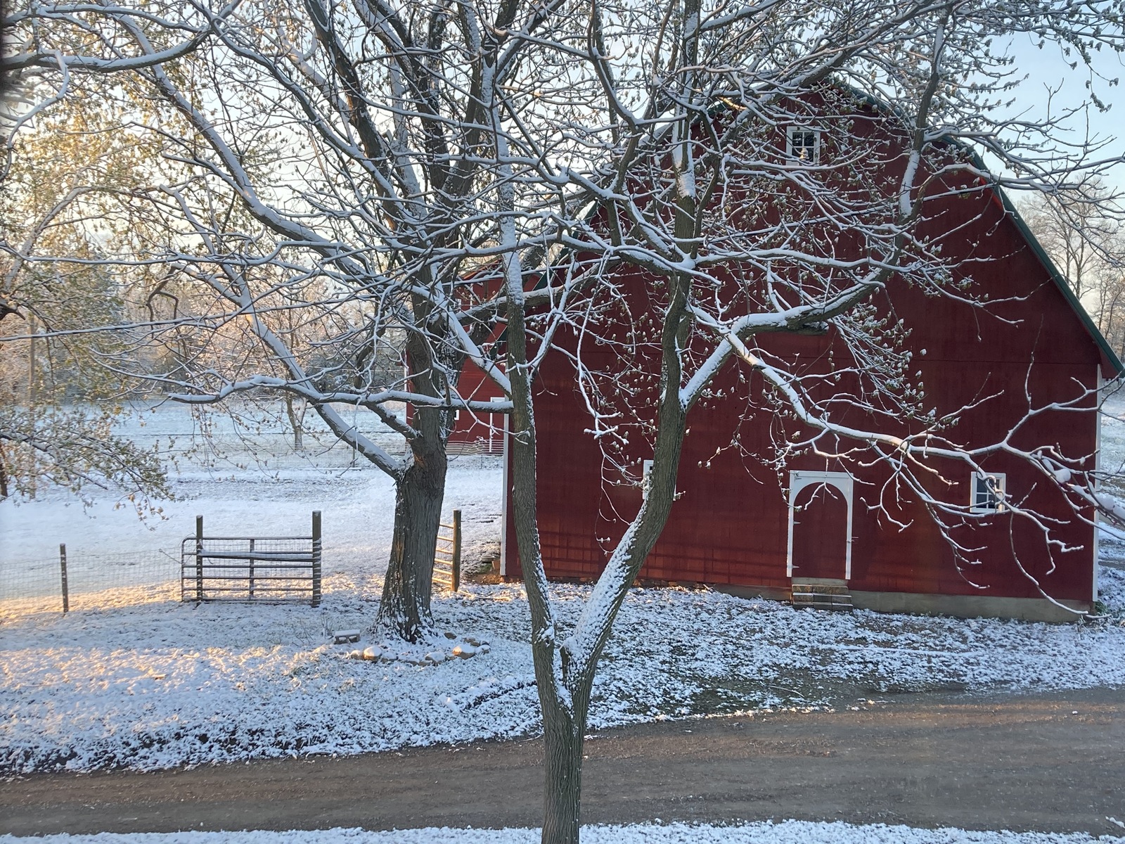 the farm