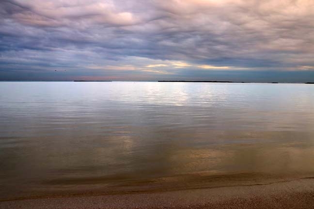 dolphin point