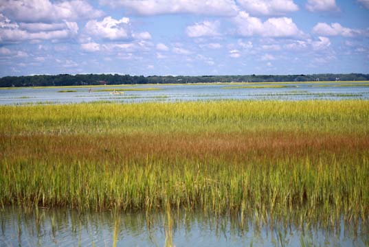sc_rich colors_030