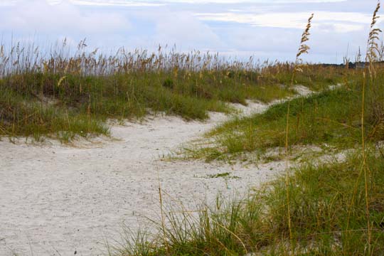 sc_dunes_041