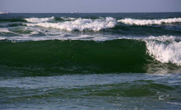 fl_the ridge_113