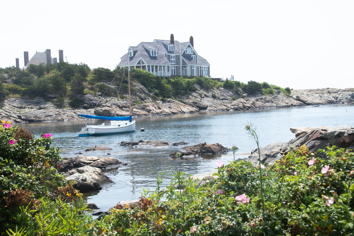 the cove