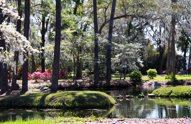 landscape gallery South